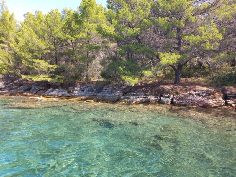 Zadar: Sea, Sun, and Wind Half-Day Sailing Adventure - Pricing and Booking Details
