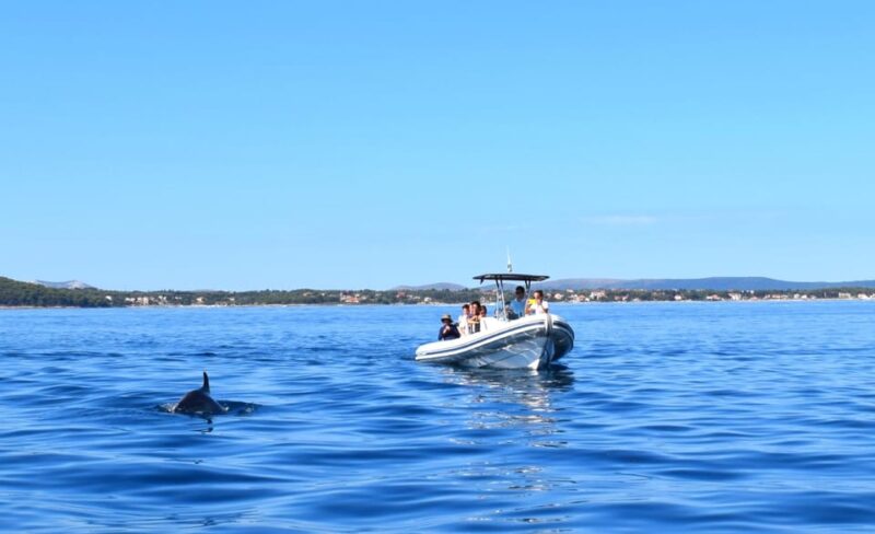 Zadar: Snorkeling and Sandy Beaches Boat Tour to 7-Spots - Good To Know