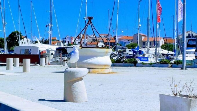 Zadar: Speedboat Individual Tour German Guide - Language Options
