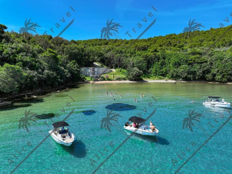 Zadar: Speedboat Tour With 3 Stops, Drinks and Snorkeling - Important Information
