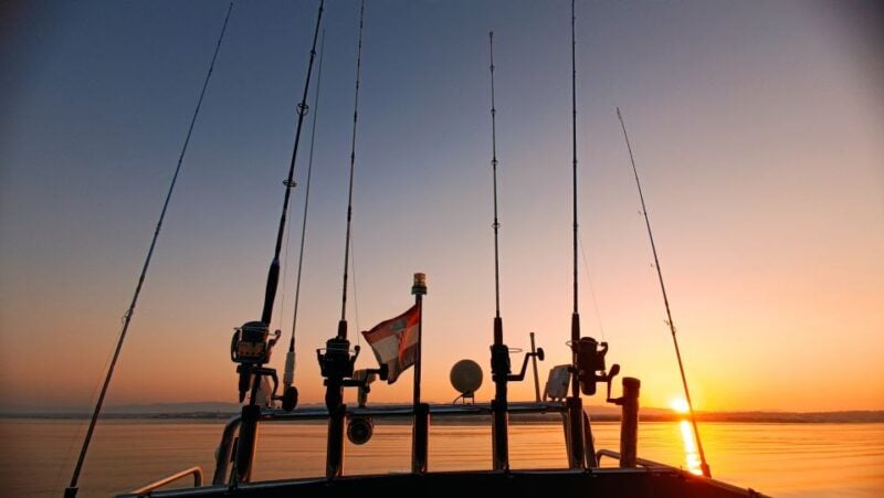 Zadar: Sunset Fishing Half-Day Guided Boat Trip - Fishing Techniques and Target Species