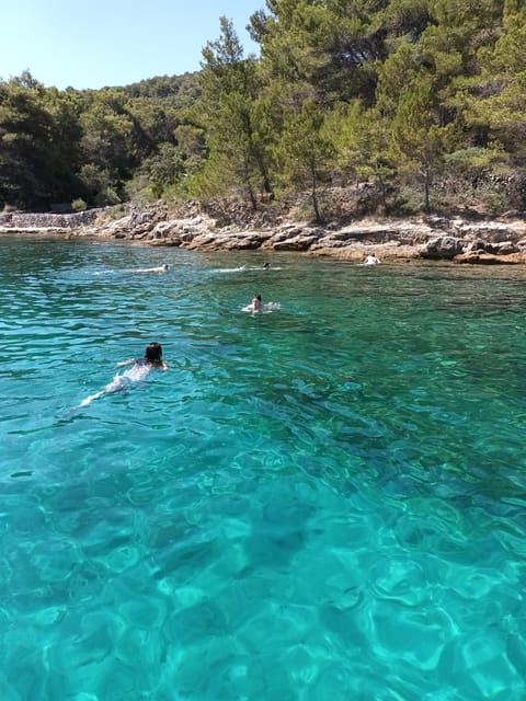 Zadar: Ugljan, Frnaža, Galevac & Island Ošljak Boat Trip - Customer Reviews
