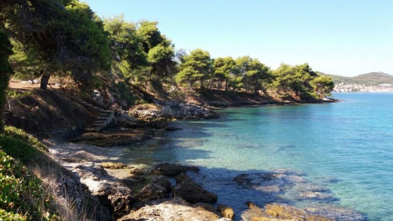 Zadar: Ugljan, Ošljak and Školjić Islands Private Boat Tour - Activities on the Islands