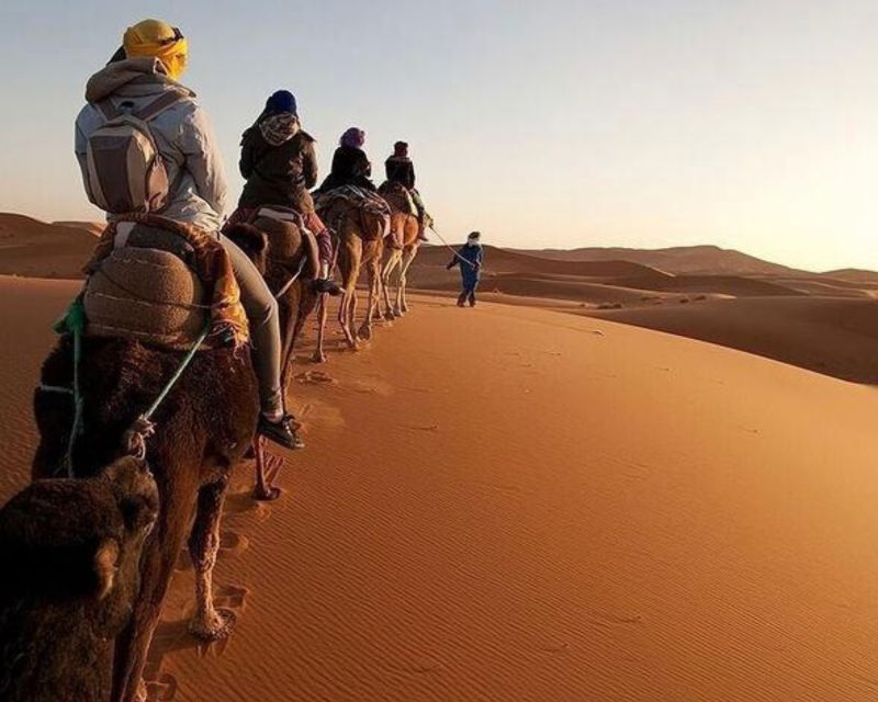 Zagora: 2-Day Desert Trip From Marrakech - Key Points