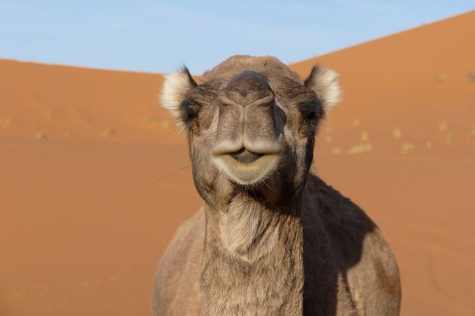 Zagora: Airport Private Transfer - Cancellation Policy