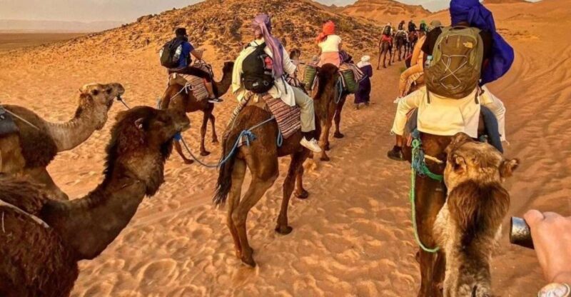 Zagora Desert: 2-Day 1 Night Desert Expedition to Remember - Return to Ouarzazate