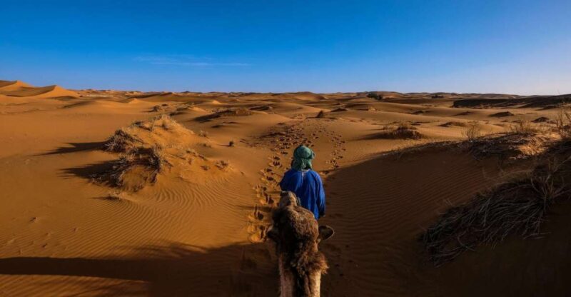 Zagora Desert Adventure - Key Points