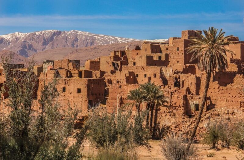 Zagora Desert Adventure - Highlights and Experiences