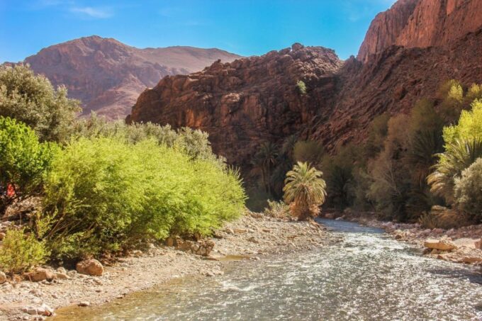 Zagora Desert Adventure - Frequently Asked Questions