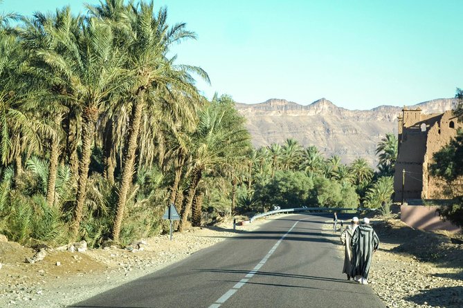 Zagora Desert and Draa Valley Day Trip From Ouarzazate - Additional Highlights