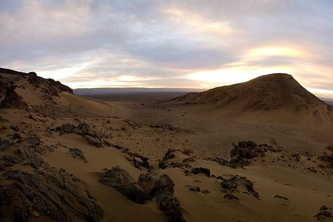 Zagora Desert and Draa Valley Day Trip From Ouarzazate - Private Tour Details