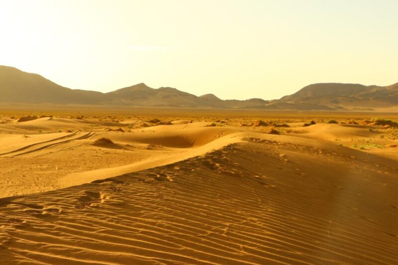 Zagora: Overnight in Luxury Desert Camp With Camel Ride, - Recommendations