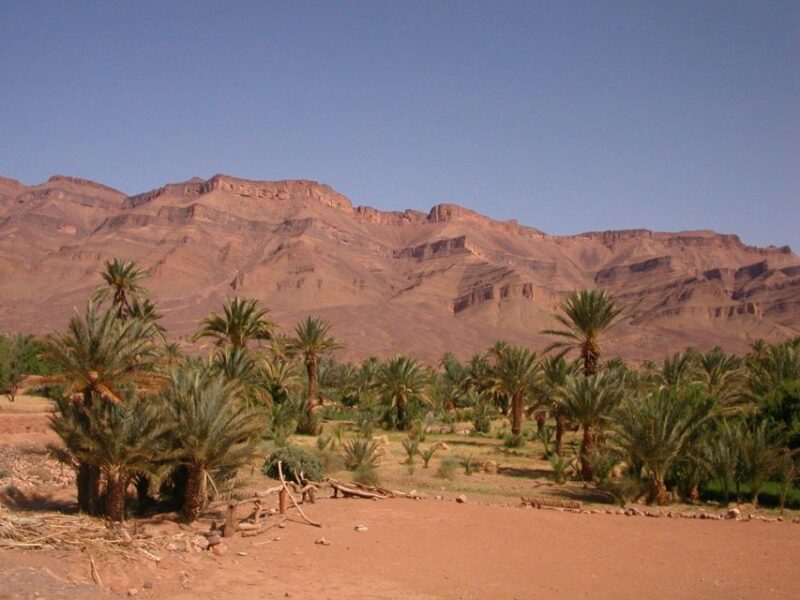 Zagora Sahara Desert Overnight Trip From Ouarzazate - Key Points
