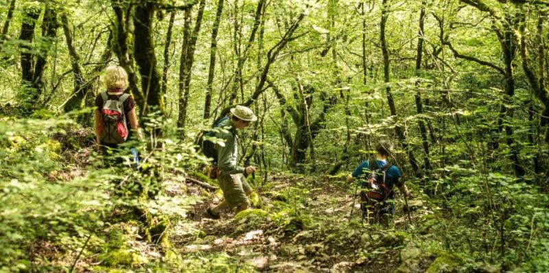 Zagori: Vikos Gorge Full-Day Guided Hike - Meeting Point and Logistics