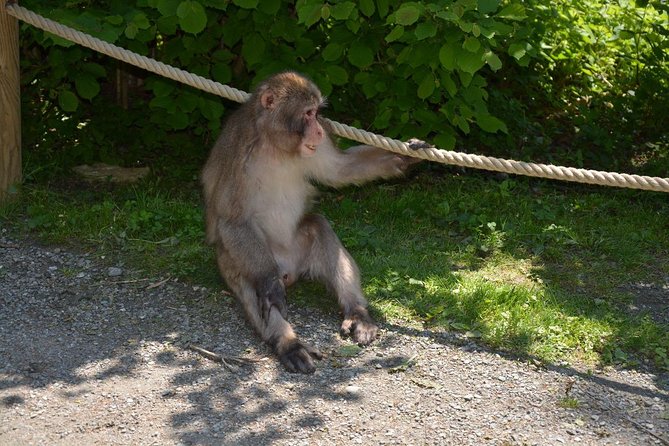 Zagreb - Monkey Park (Affenberg) - Klagenfurt - Minimudus - Questions About Staying Here