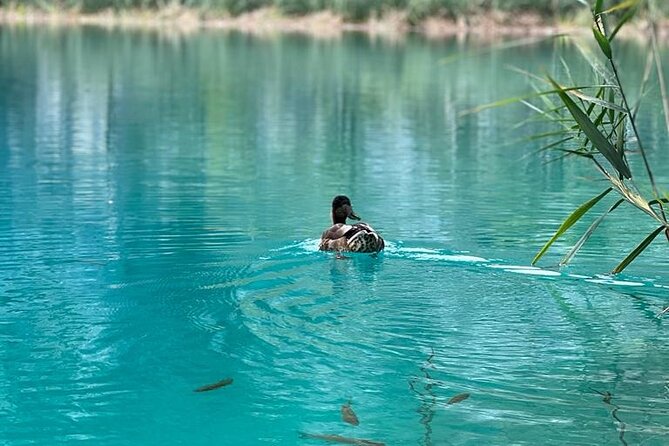 Zagreb: Plitvice Lakes With Secured Tickets, Boat And Train Ride - Traveler Reviews