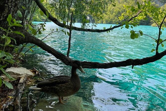 Zagreb: Plitvice Lakes With Secured Tickets, Boat And Train Ride - Getting to Plitvice Lakes