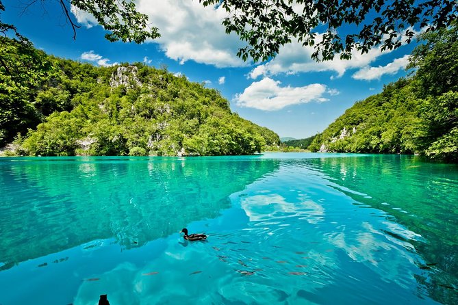 Zagreb to Split Group Transfer With Plitvice Lakes Guided Tour - Guided Tour Highlights
