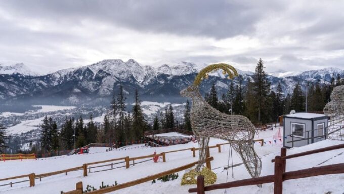 Zakopane and Tatra Mountains Attractions and Activities - Language and Participant Information