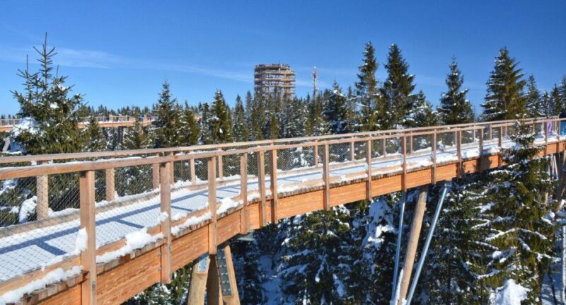 Zakopane: Bachledka Treetop Walk and Strbske Pleso Tour - Natural Attractions