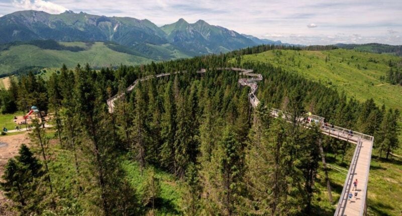 Zakopane: Bachledka Treetop Walk and Strbske Pleso Tour - Inclusions
