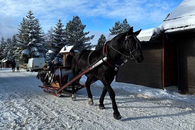 Zakopane Day Tour With Hotel Pick up and Optional Thermal Spa - Special Offer and Cancellation Policy