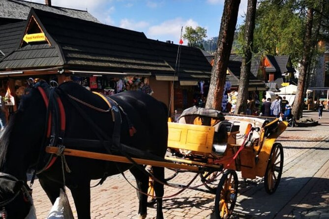 Zakopane Funicular Hill & Thermal Springs Regular Tour - Meeting and Pickup