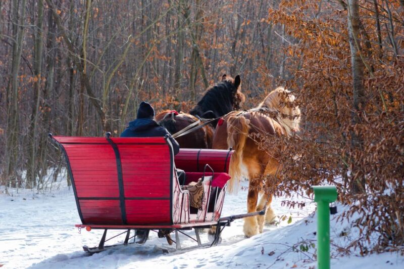 Zakopane: Horse-Drawn Rides With Local Guide & Food Tasting - Key Points