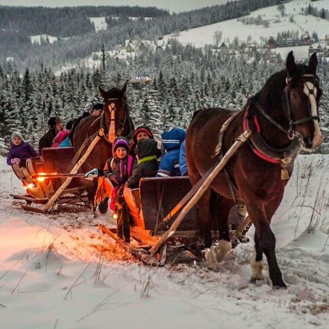 Zakopane: Horse-Drawn Rides With Local Guide & Food Tasting - Preparation and Recommendations