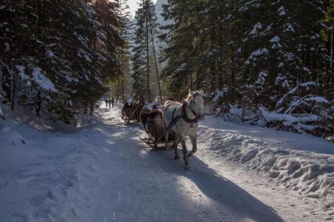 Zakopane: Horse-Drawn Rides With Local Guide & Food Tasting - Bonfire and Local Cuisine