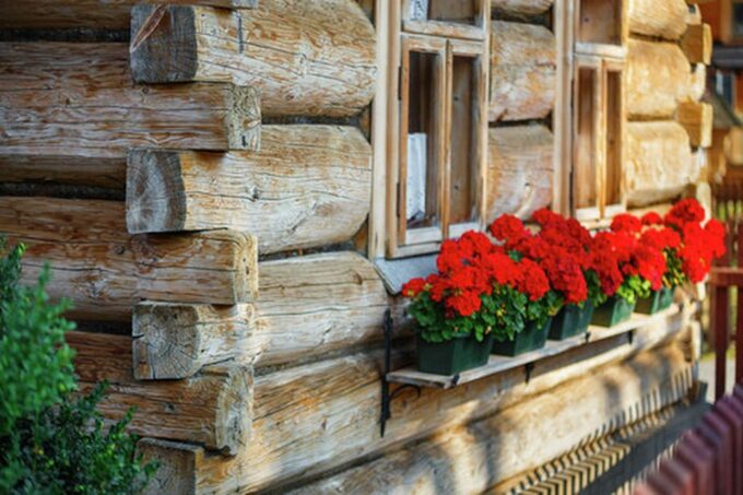 Zakopane & Hot Springs - Trip From Kraków - Krupówki Street Exploration
