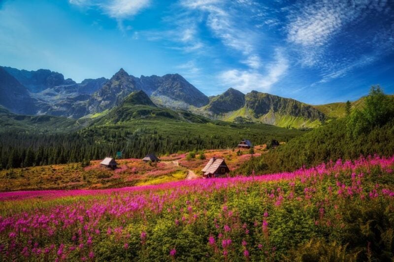 Zakopane: Private City Tour - Tatra National Park