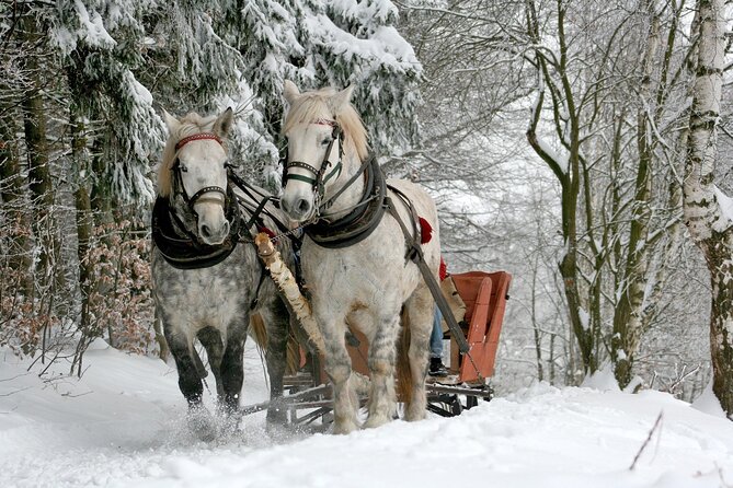 Zakopane & Sleigh Ride With Bonfire - Group Tour From Kraków - Transportation and Accessibility