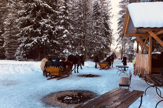 Zakopane & Sleigh Ride With Bonfire - Group Tour From Kraków - Group Size and Experience
