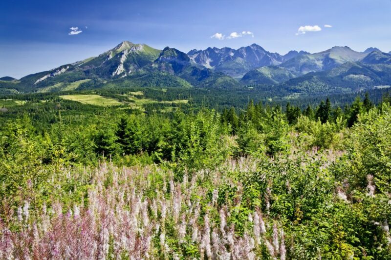 Zakopane: Tatra Mountains Full Day Tour From Krakow - Inclusions