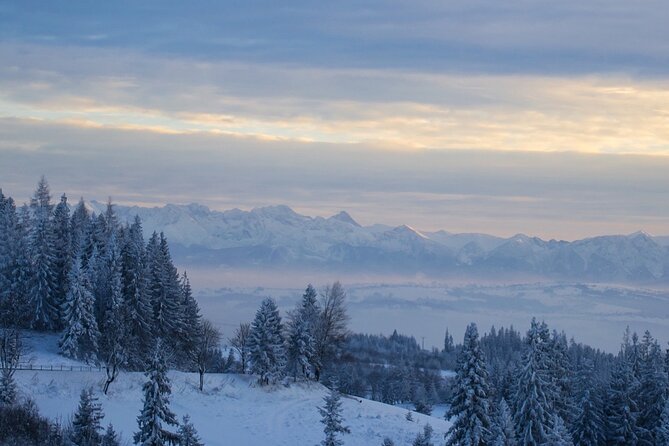 Zakopane - the Winter Wonderland - Private Tour From Krakow - Last-Minute Booking Availability