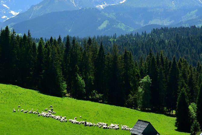 ZAKOPANE & THERMAL SPRINGS, Funicular, Cheese Tasting - Escape the Busy City