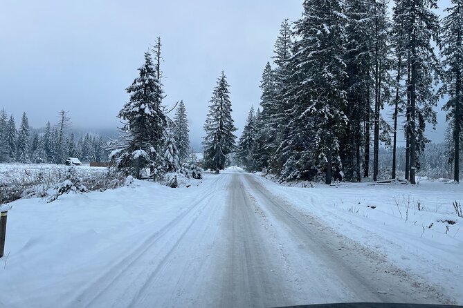 Zakopane To/From Krakow With Private Transfer by Mercedes - Booking and Cancellation Policy