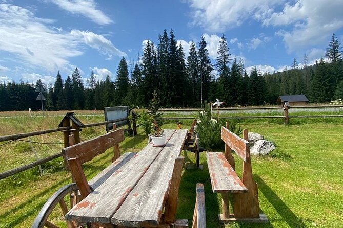Zakopane Tour From Krakow With Thermal SPA and Hotel Pick up - Operator Information