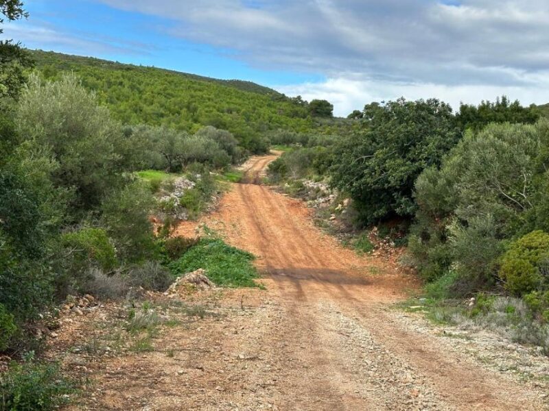 Zakynthos 4x4 Sunset Safari - Delightful Dinner Backdrop