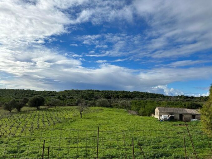 Zakynthos 4x4 Sunset Safari - Traditional Greek Platters and Wine
