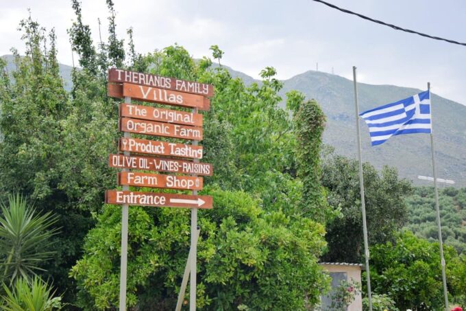 Zakynthos: Full Day Tour Sea & Land Exloration - Agios Nikolaos