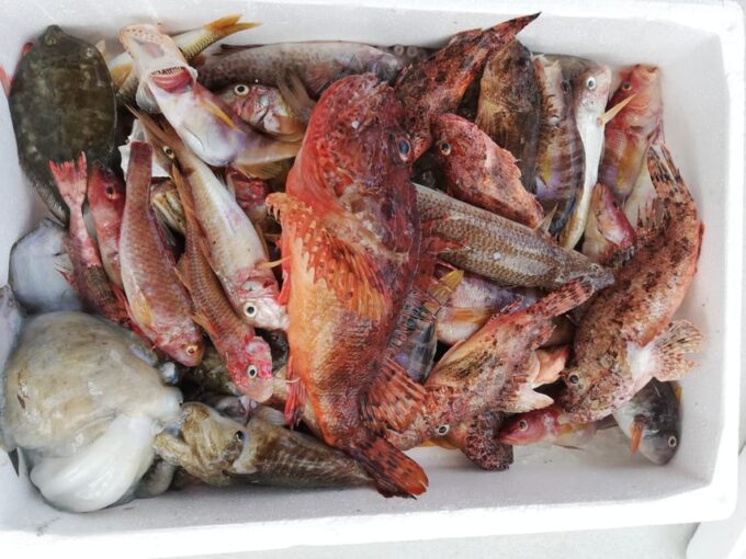 Zakynthos: Full-Day Traditional Eco-Fishing Tour With Food - Personalized and Limited Group Size