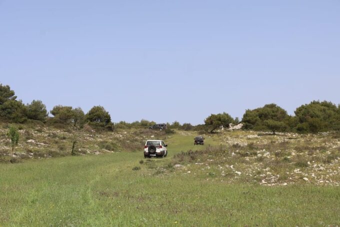 Zakynthos: Jeep Safari Day Exploration: Sea & Land - Customer Feedback