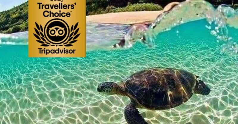 Zakynthos Private Boat: Turtles & Marathonisi Island (max5) - Marathonisi Beach