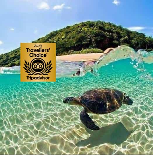 Zakynthos Private Boat: Turtles & Marathonisi Island (max5) - Marathonisi Caves