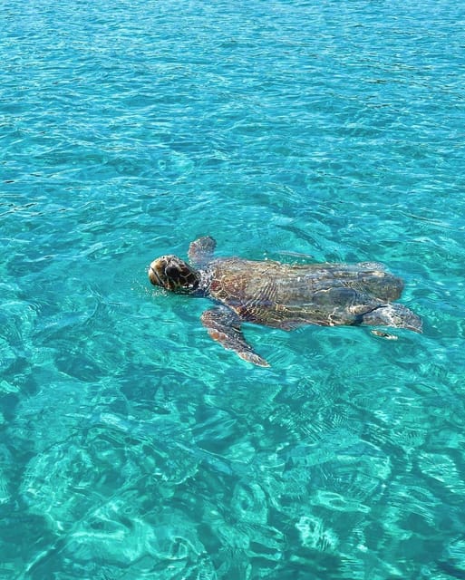 Zakynthos: Private Cruises With Rib Boat - Amenities and Inclusions