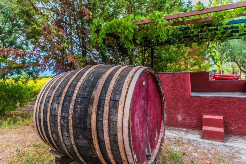 Zakynthos: Private Tour With Wine & Olive Oil Tasting - Olive Oil Production Process