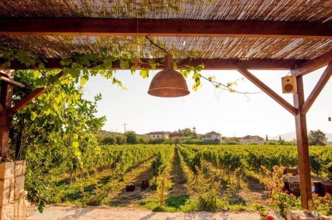 Zakynthos: Private Tour With Wine & Olive Oil Tasting - Tour Duration and Pickup Locations