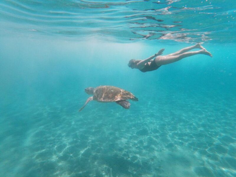 Zakynthos: Turtle Island Cruise With Swimming Stop - Transportation to and From Port